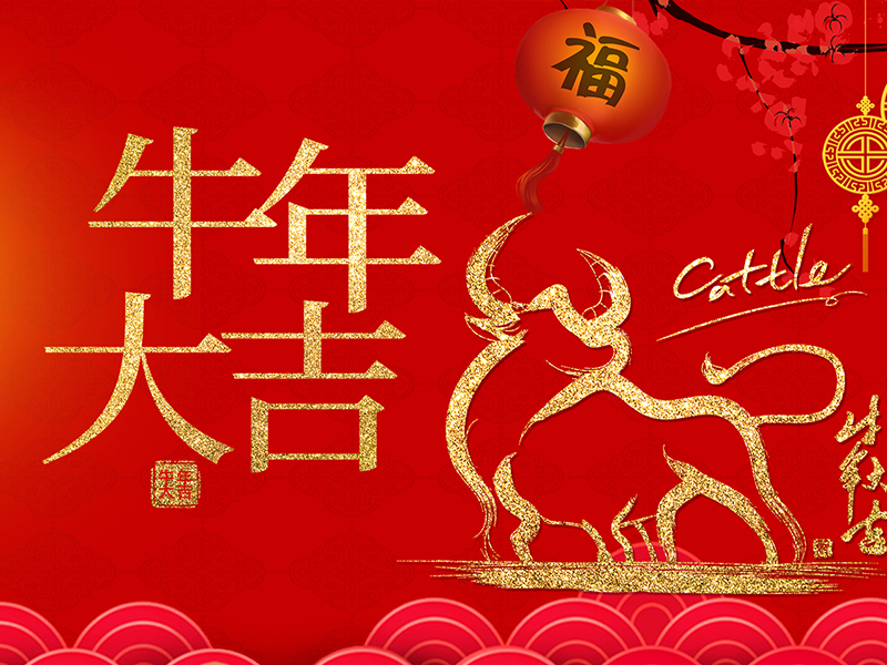 新年快乐！